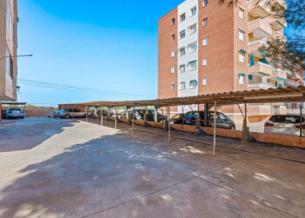 Venta - Apartment - Flat - Orihuela Costa - Punta Prima