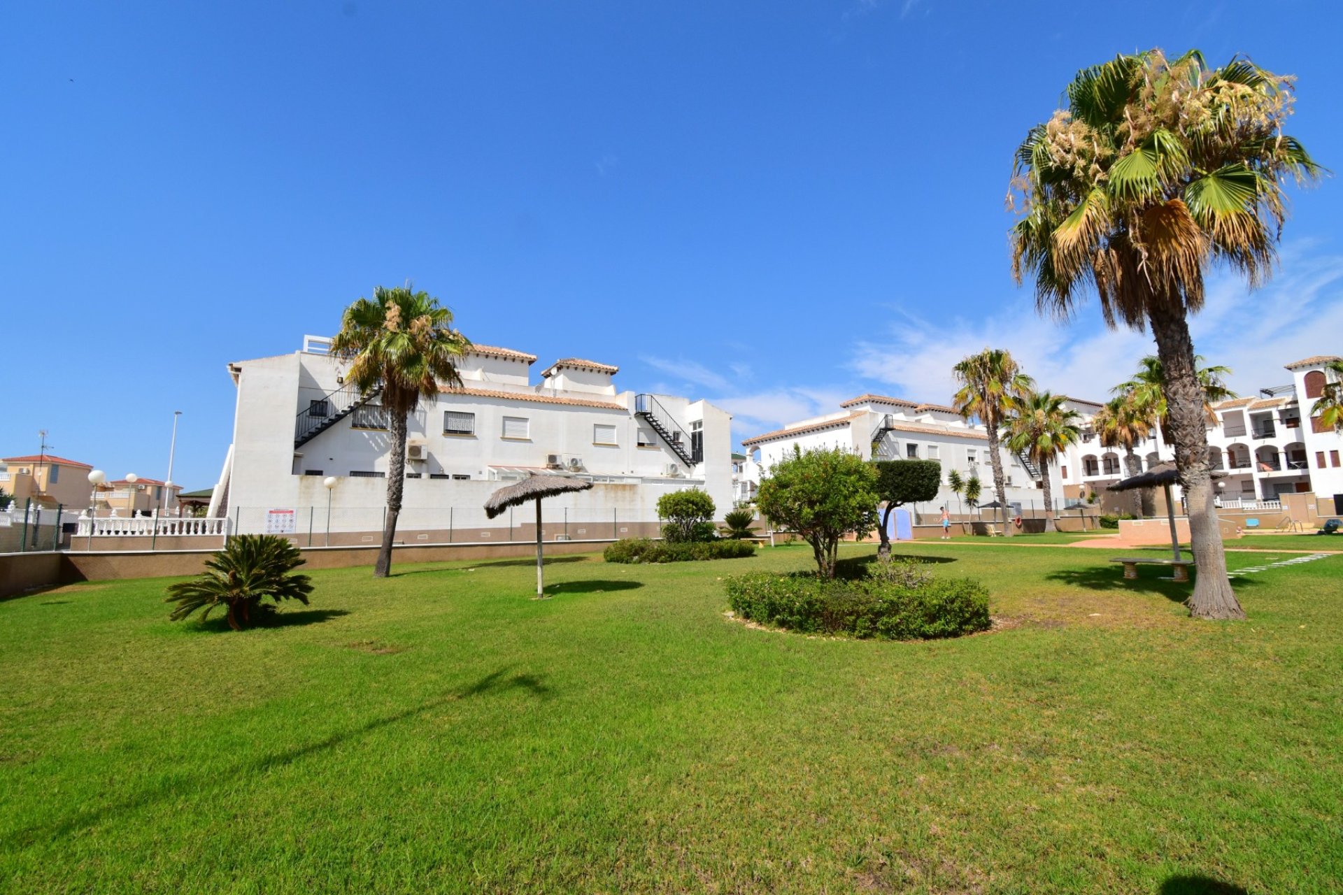 Venta - Apartment - Flat - Orihuela Costa - Punta Prima