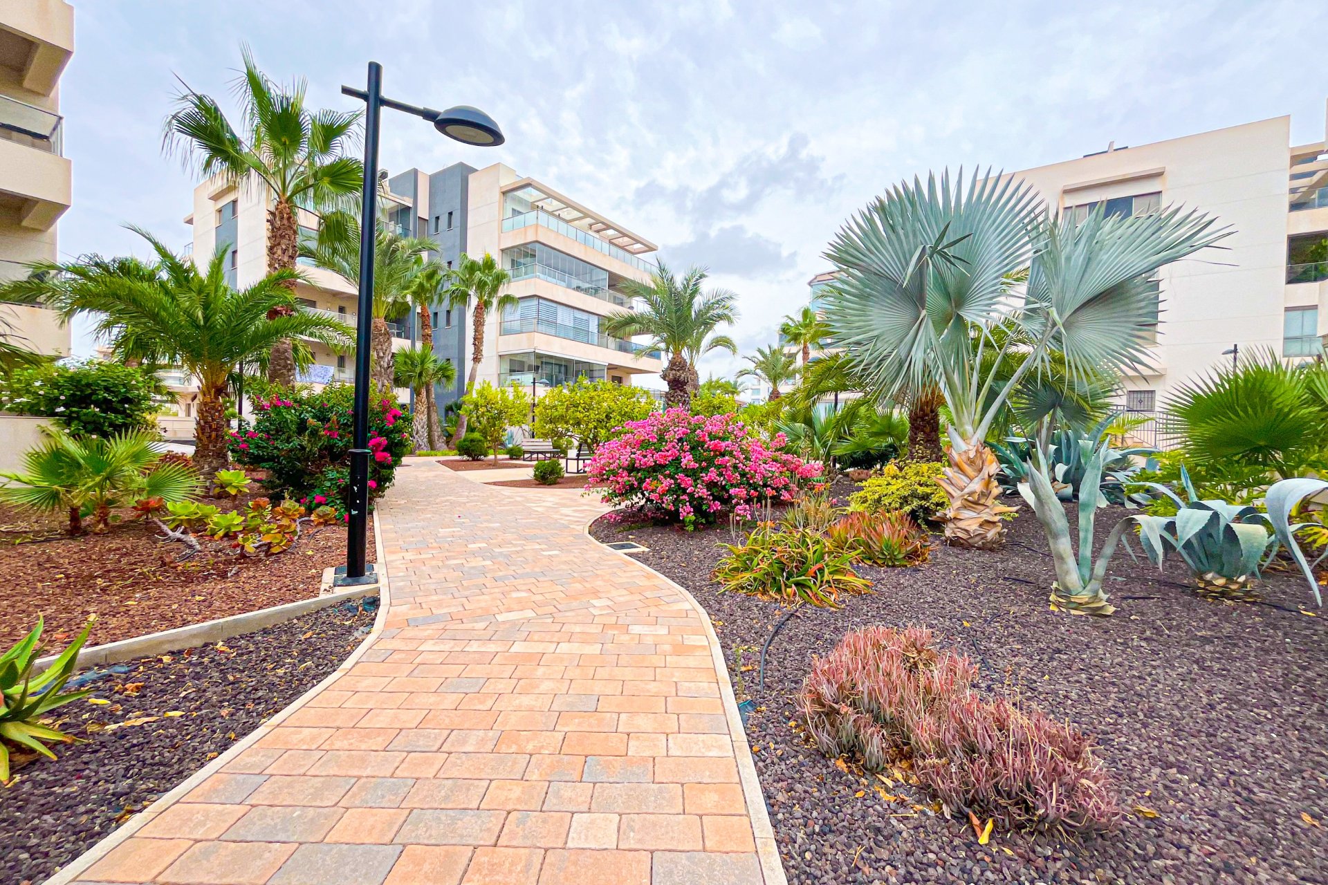 Venta - Apartment - Flat - Orihuela Costa - Villamartín