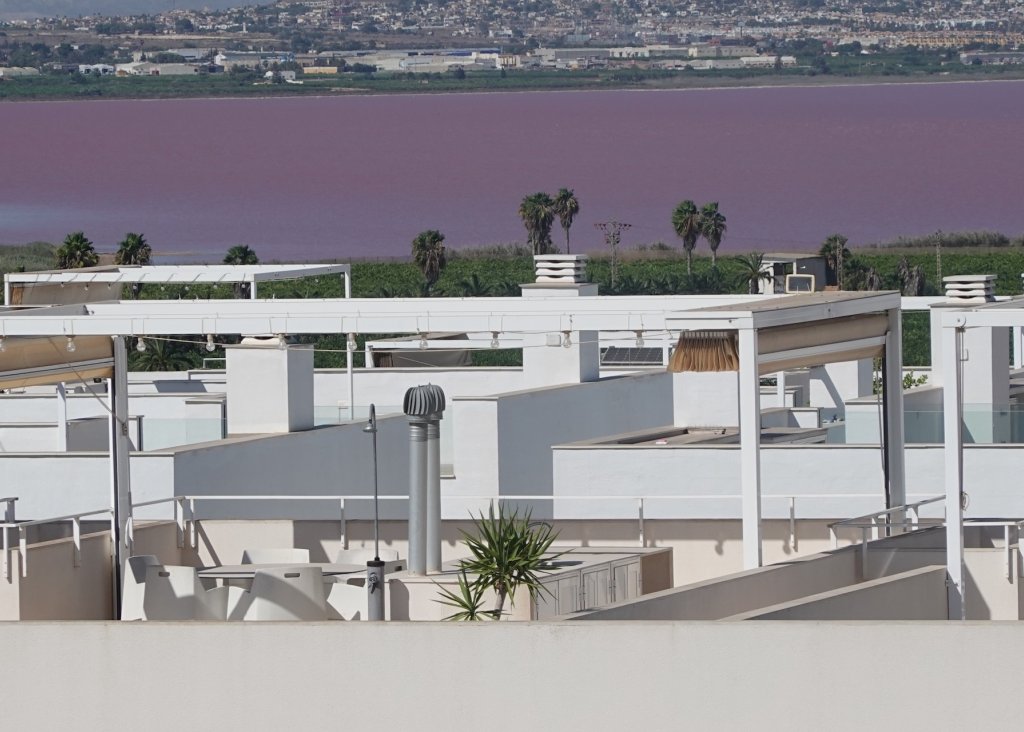 Venta - Apartment - Flat - Torrevieja - Los Balcones