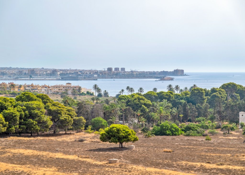 Venta - Apartment - Flat - Torrevieja - Punta Prima