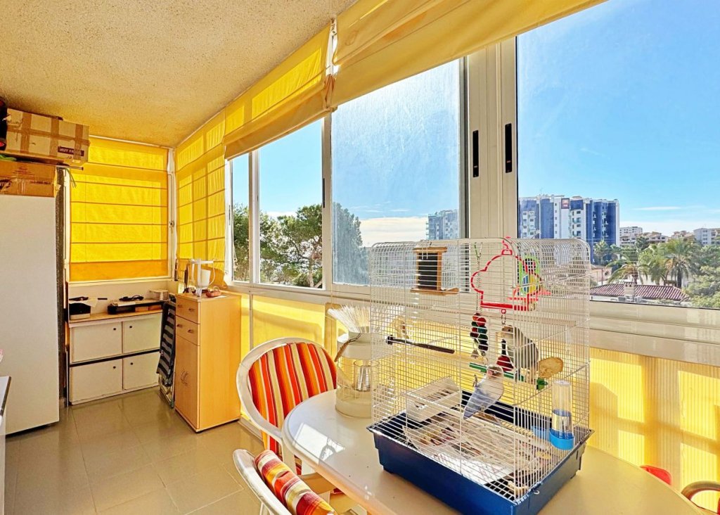 Venta - Apartment - Flat - Torrevieja - Rocio del Mar