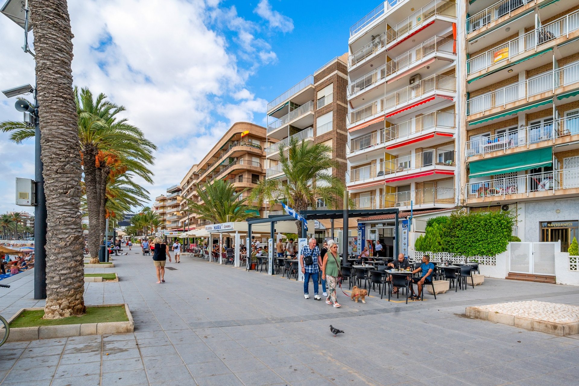 Venta - Apartment - Flat - Torrevieja
