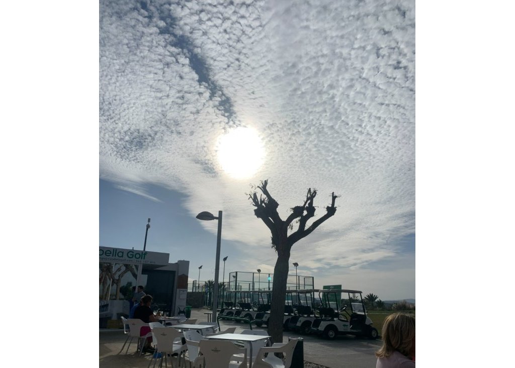 Venta - Apartment Penthouse - Entre Naranjos - Vistabella - Entre Naranjos