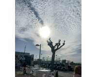 Venta - Apartment Penthouse - Entre Naranjos - Vistabella - Entre Naranjos