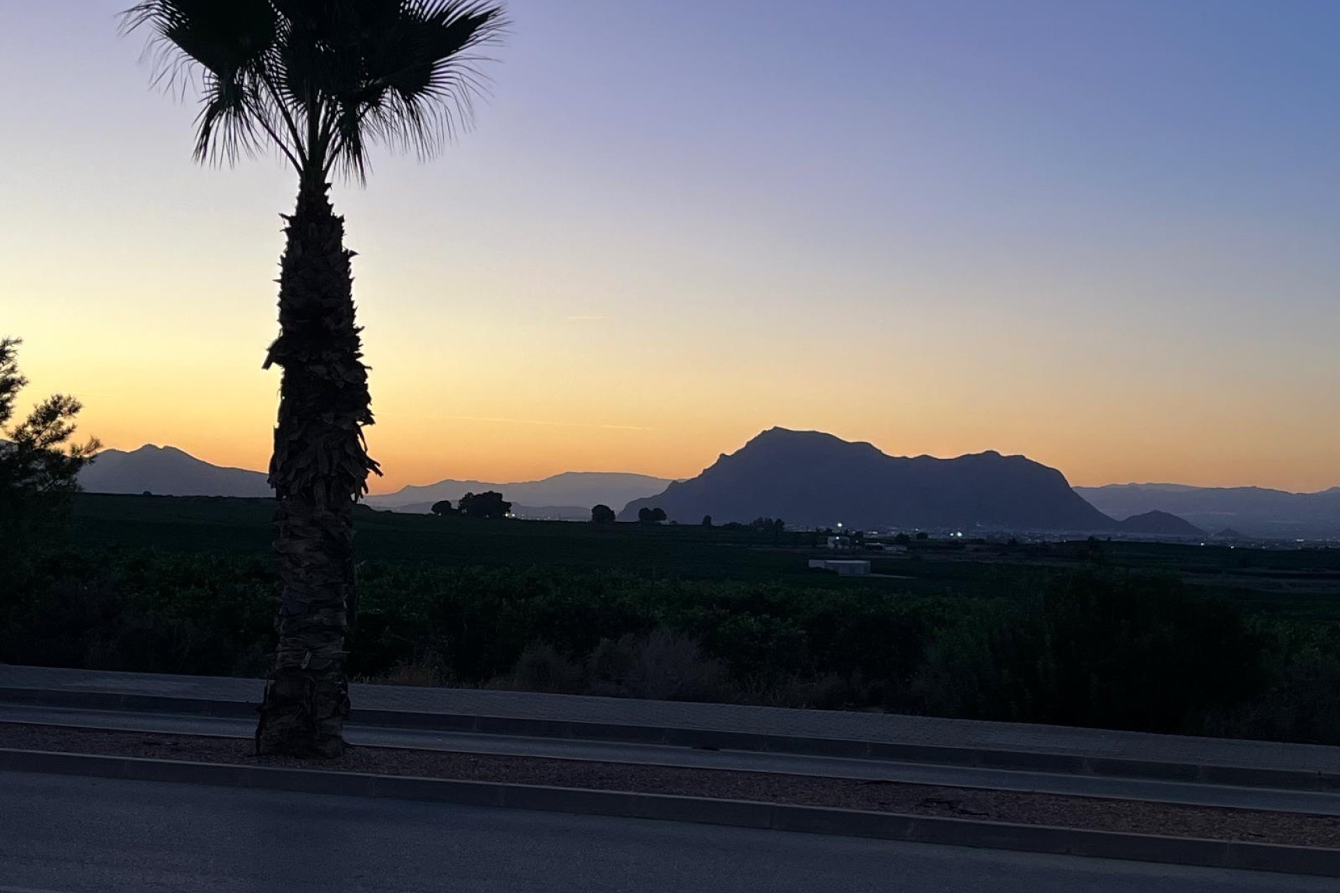 Venta - Bungalow - Algorfa