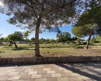 Venta - Bungalow - Torrevieja - El chaparral