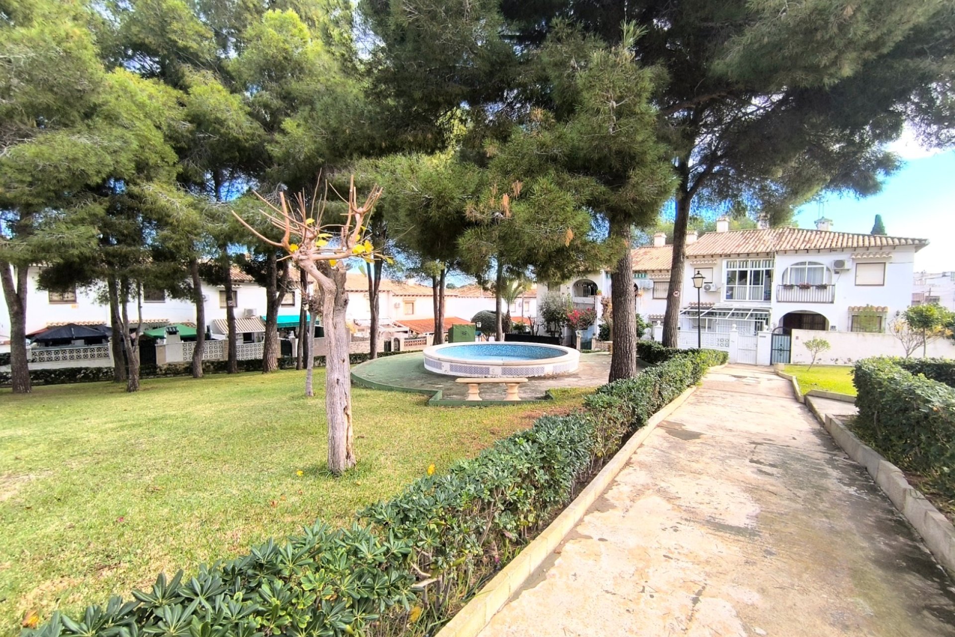 Venta - Bungalow - Torrevieja - Lago jardin