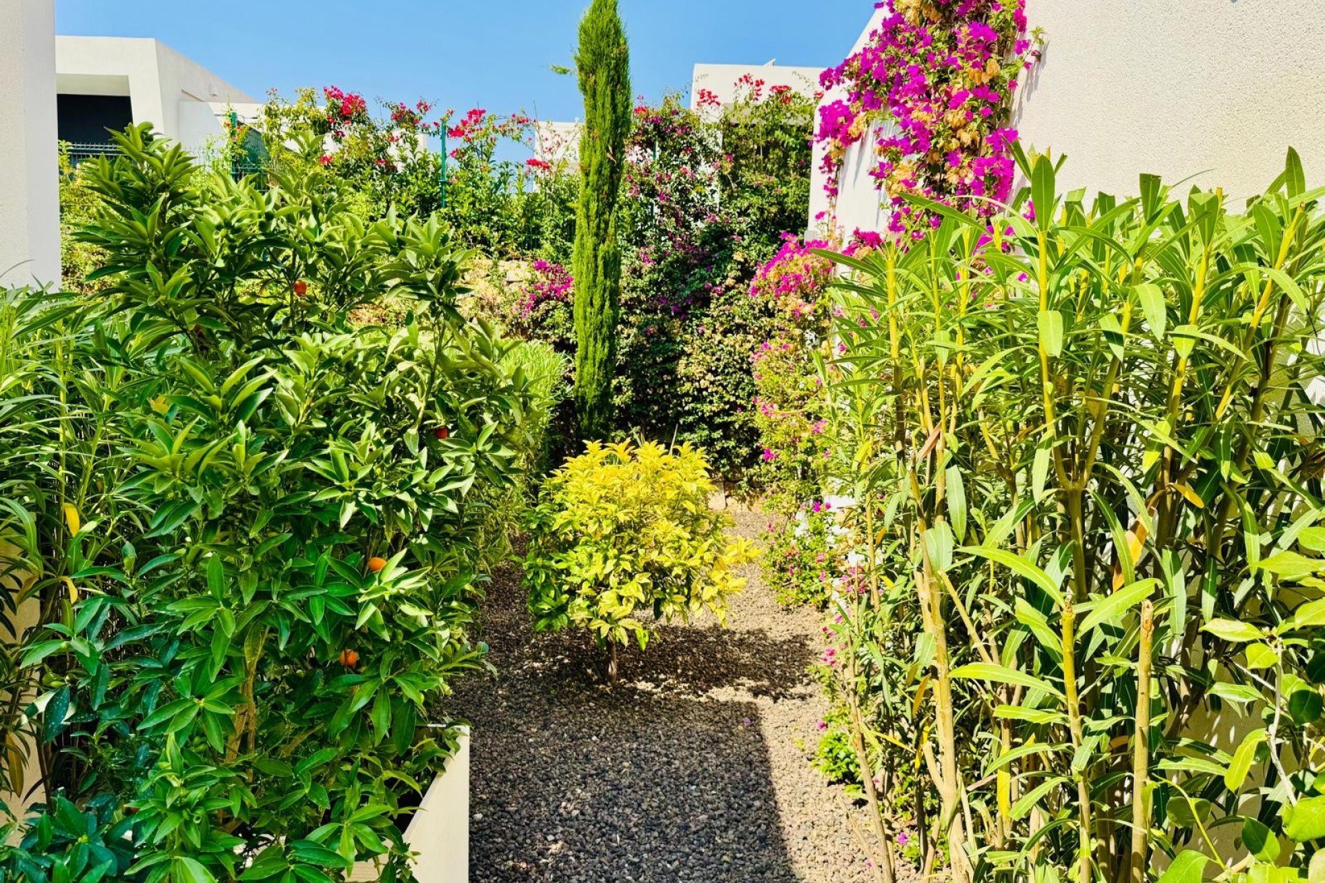 Venta - Chalet - Algorfa - La Finca Golf Resort