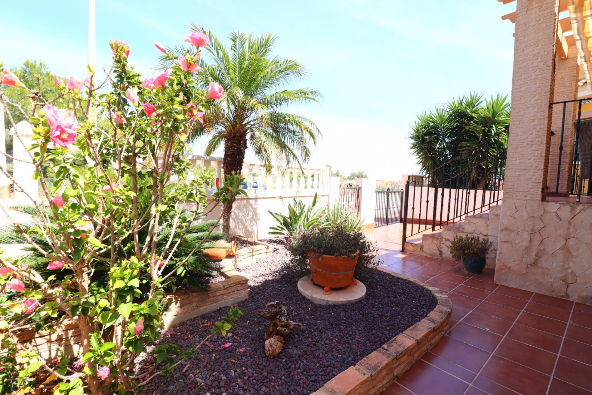 Venta - Chalet - Algorfa - Lo Crispin