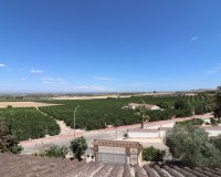 Venta - Chalet - Algorfa - Lomas de La Juliana