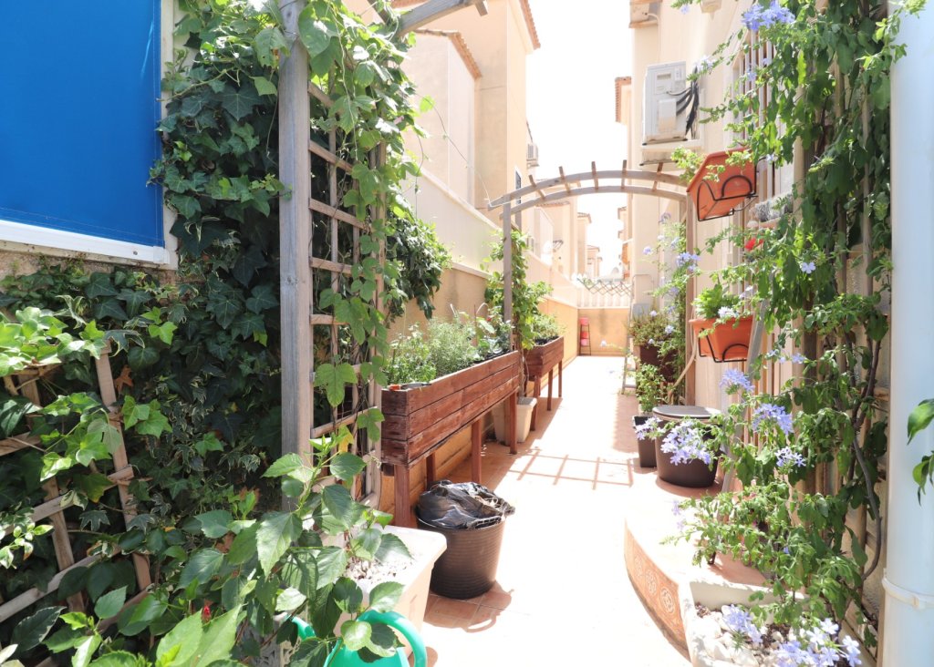 Venta - Chalet - Algorfa - Montebello