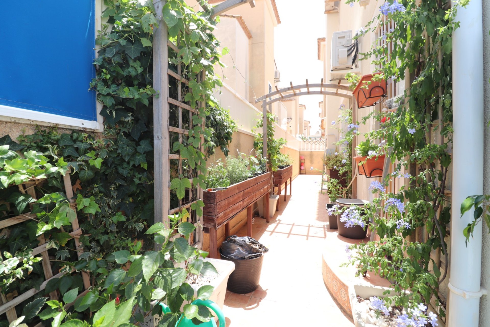 Venta - Chalet - Algorfa - Montebello
