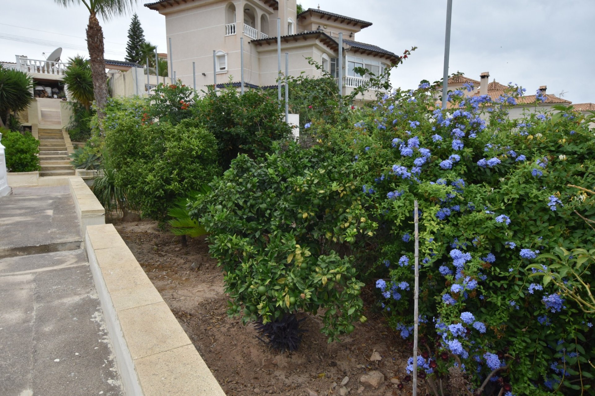 Venta - Chalet - Algorfa - Montemar