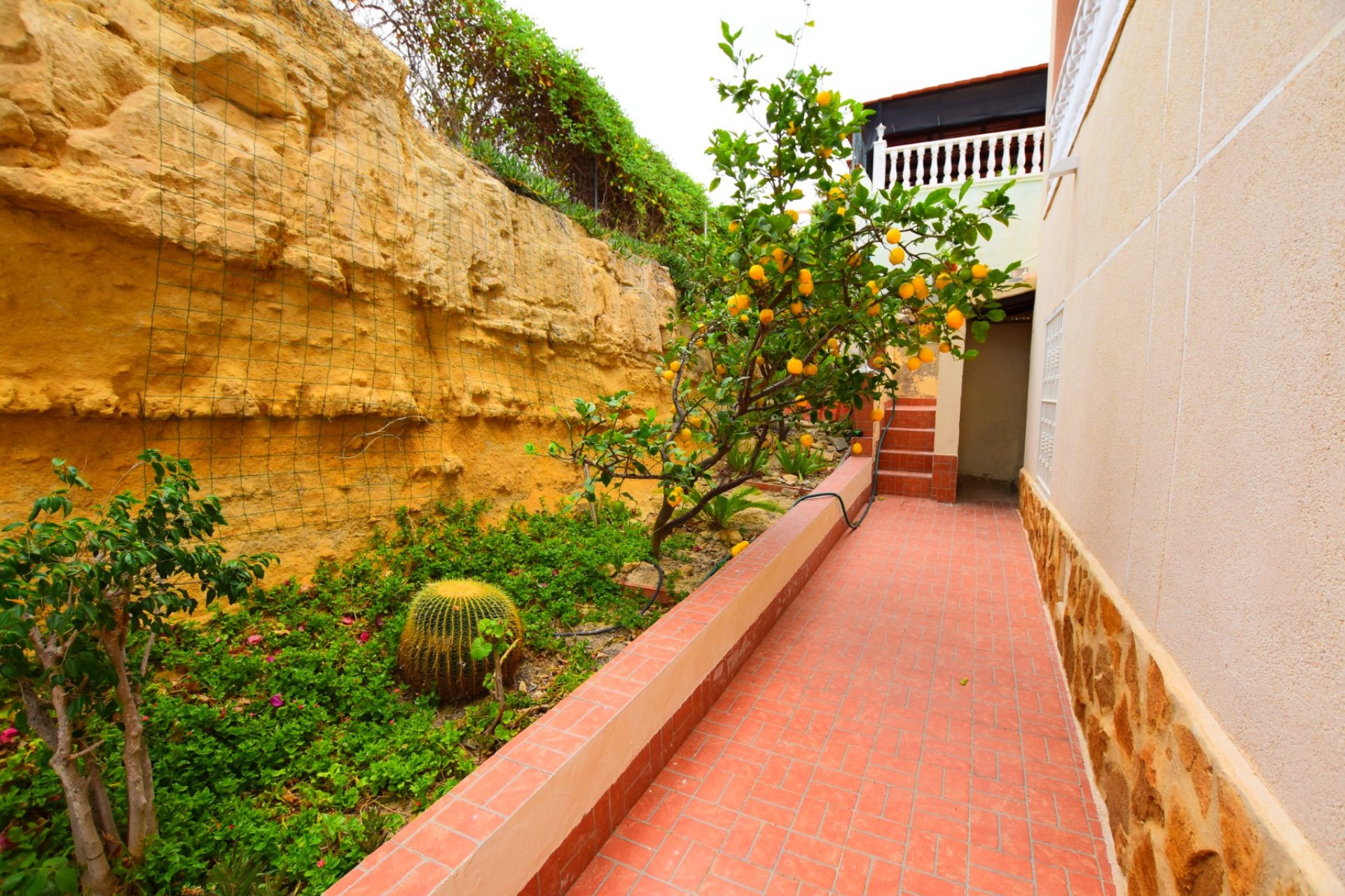Venta - Chalet - Algorfa - Montemar