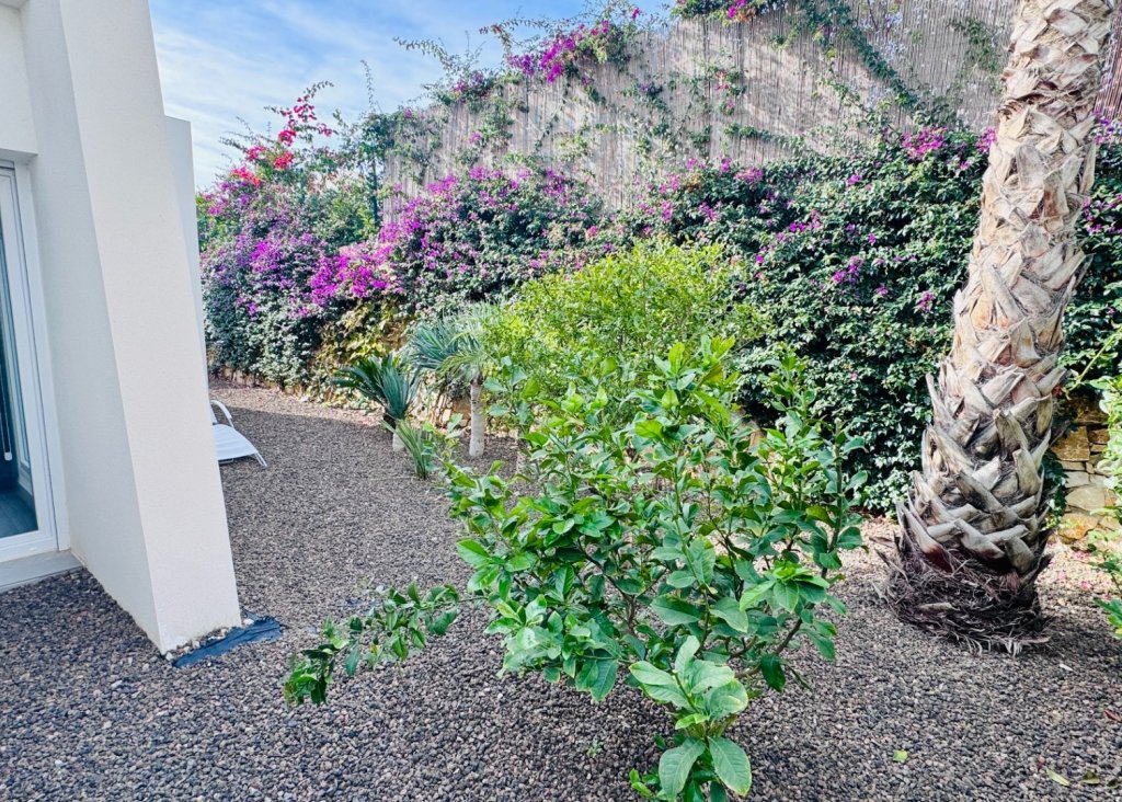 Venta - Chalet - Algorfa