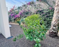 Venta - Chalet - Algorfa