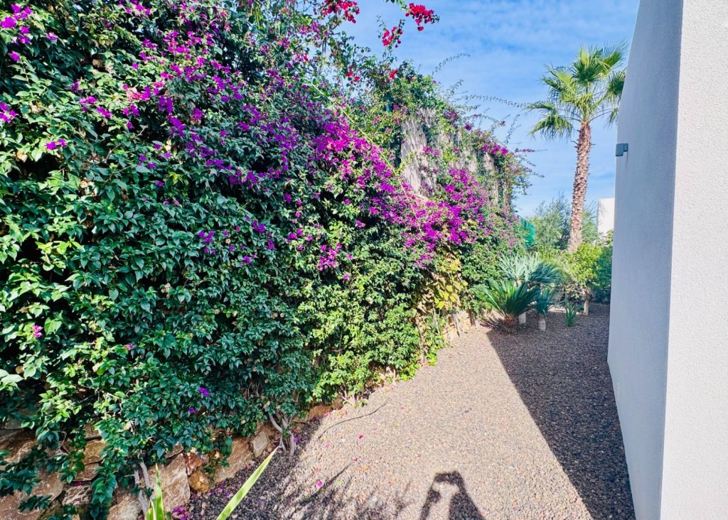 Venta - Chalet - Algorfa