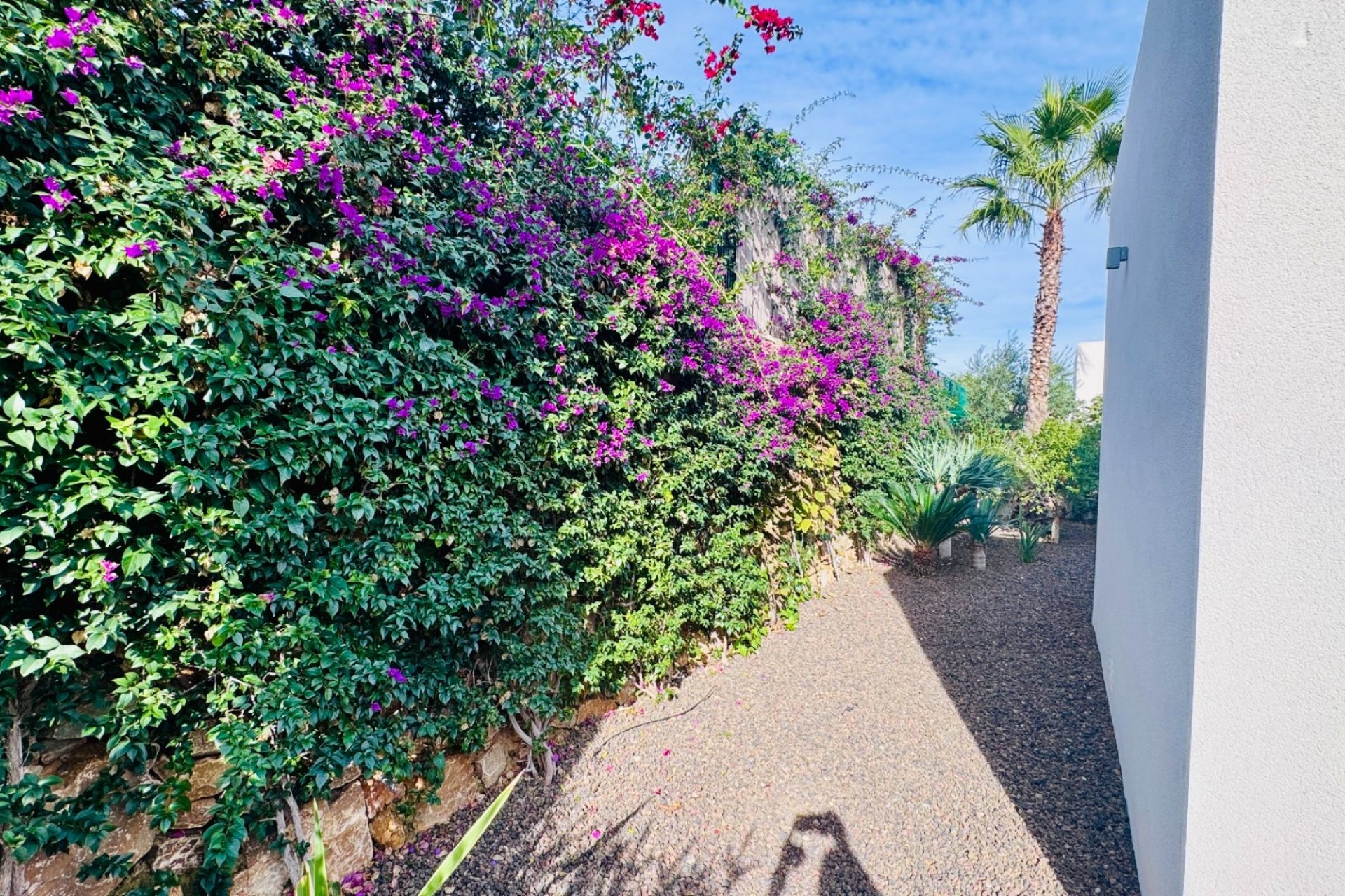 Venta - Chalet - Algorfa