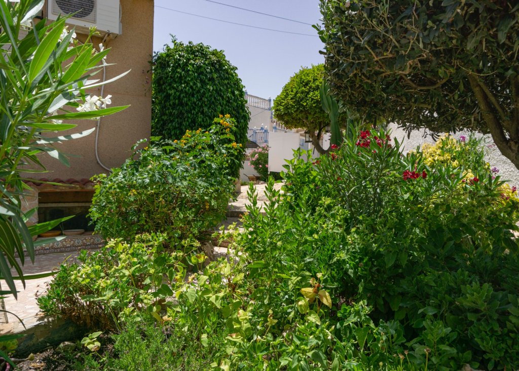 Venta - Chalet - Ciudad Quesada - town