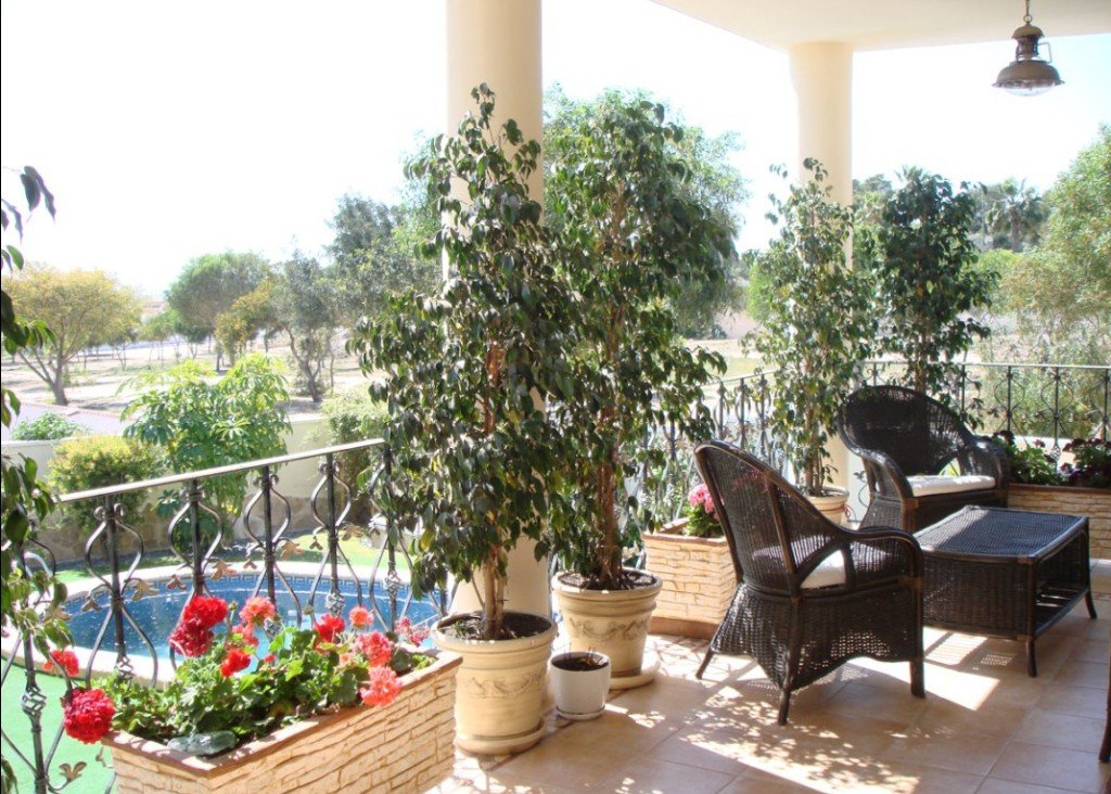 Venta - Chalet - Ciudad Quesada