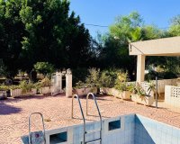 Venta - Chalet - Crevillente