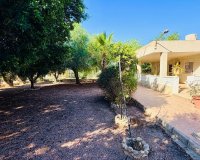 Venta - Chalet - Crevillente