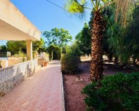 Venta - Chalet - Crevillente