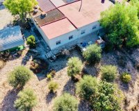 Venta - Chalet - Crevillente