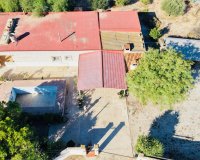 Venta - Chalet - Crevillente