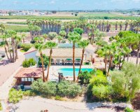 Venta - Chalet - Daya Vieja