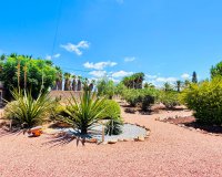 Venta - Chalet - Daya Vieja