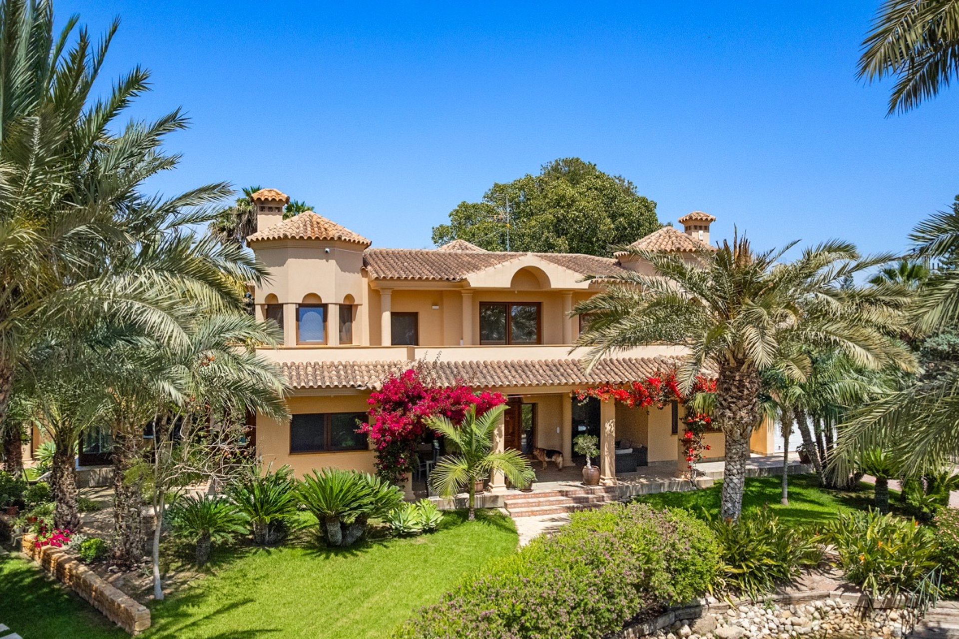 Venta - Chalet - Elche/Elx - Elche