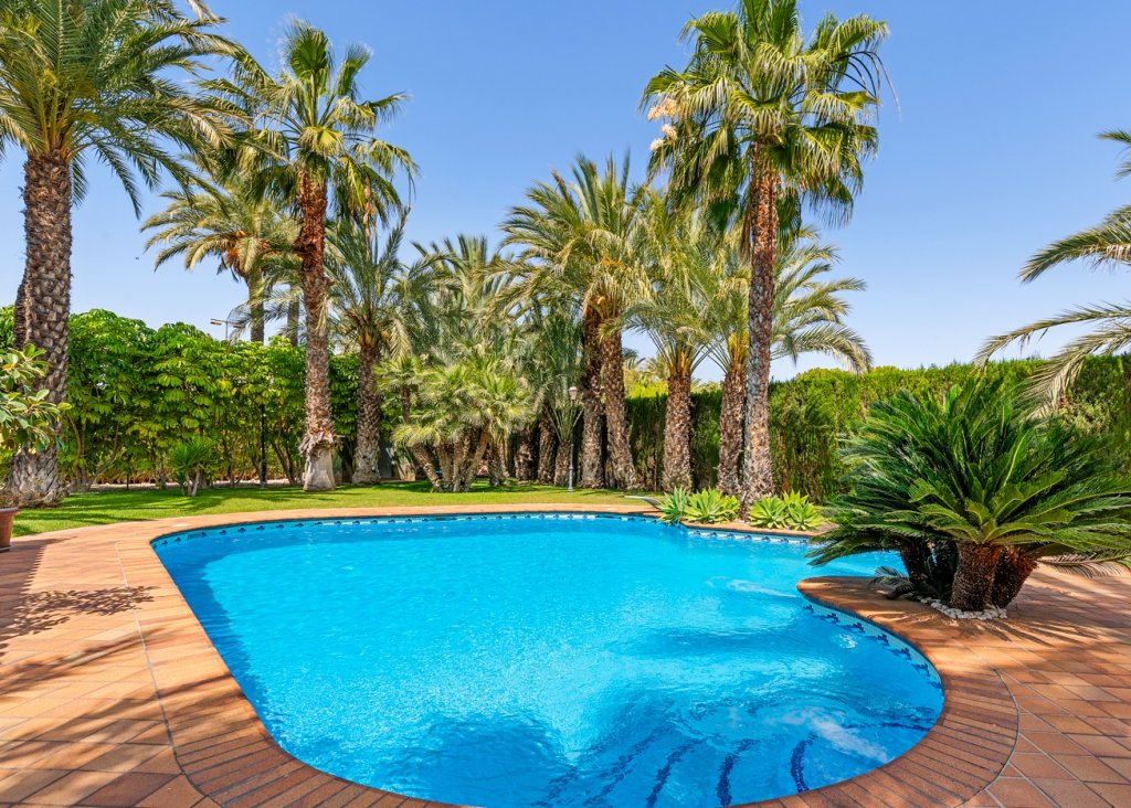 Venta - Chalet - Elche/Elx - Elche