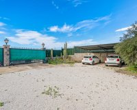 Venta - Chalet - Elche/Elx - Elche