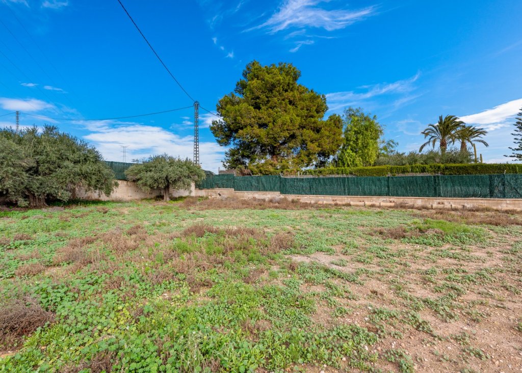 Venta - Chalet - Elche/Elx - Elche