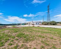 Venta - Chalet - Elche/Elx - Elche