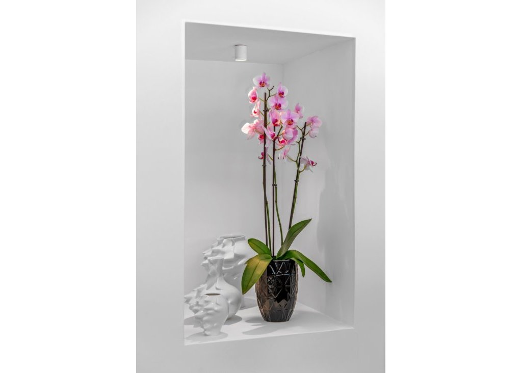 Venta - Chalet - Guardamar del Segura