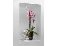 Venta - Chalet - Guardamar del Segura