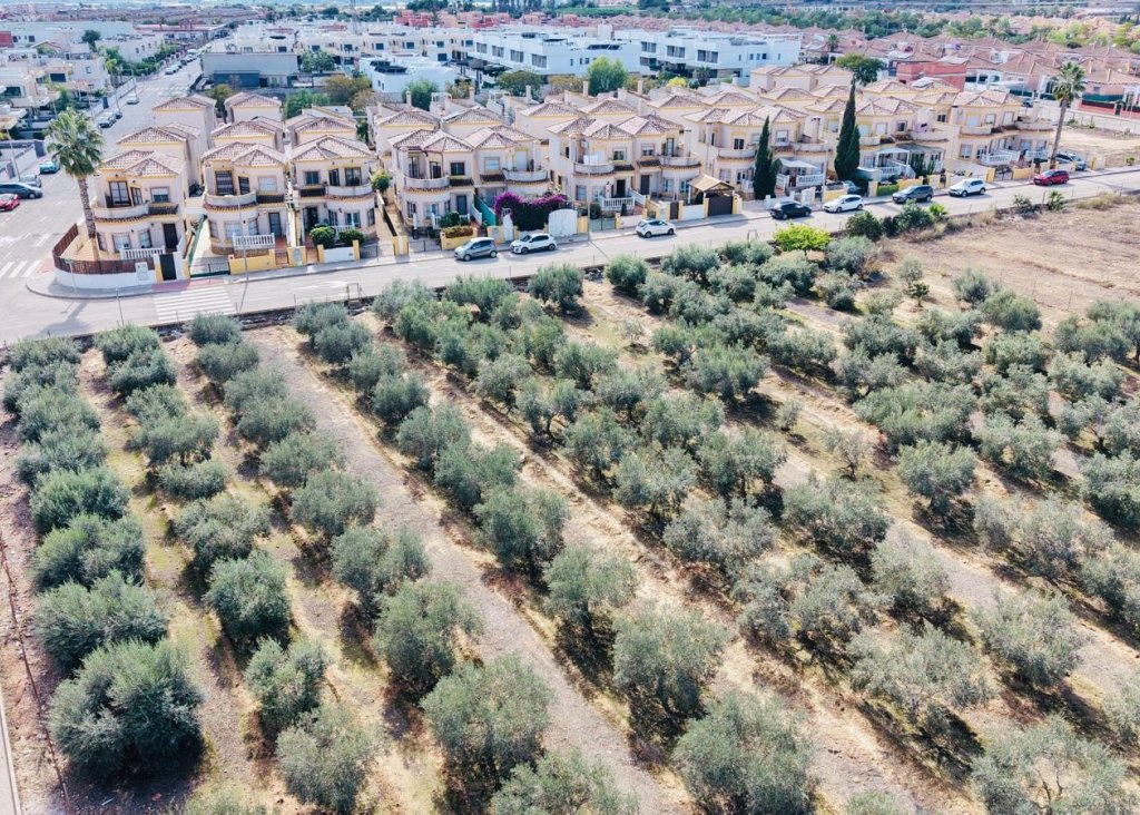 Venta - Chalet - Los Montesinos - La Herrada