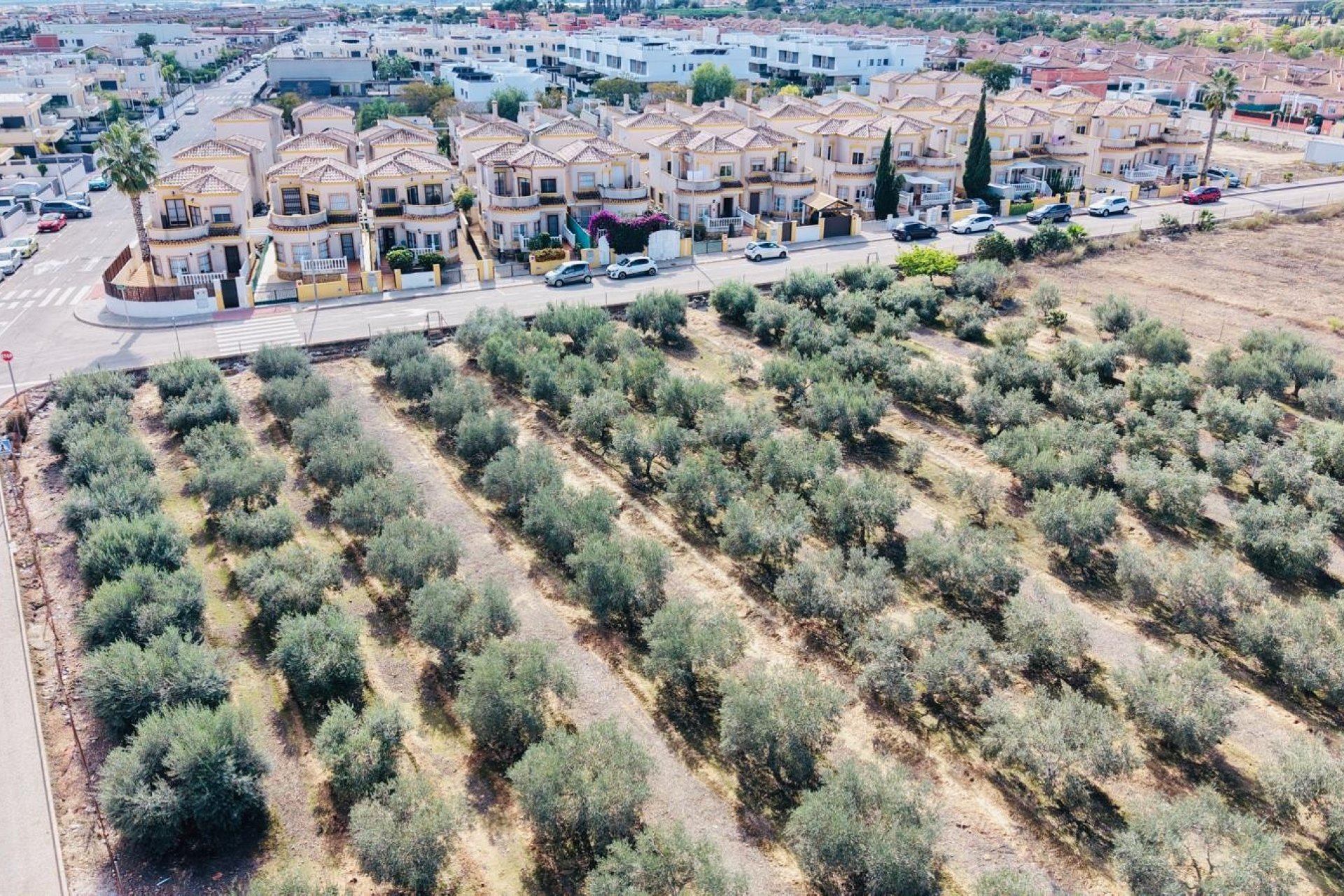Venta - Chalet - Los Montesinos - La Herrada