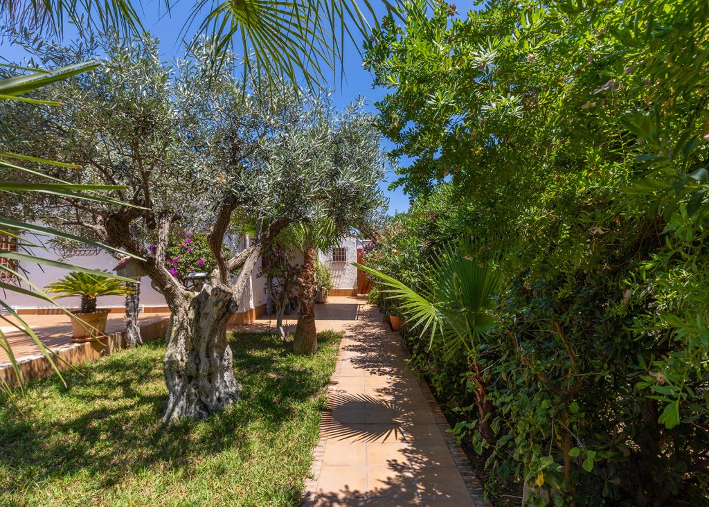 Venta - Chalet - Orihuela Costa - Punta Prima