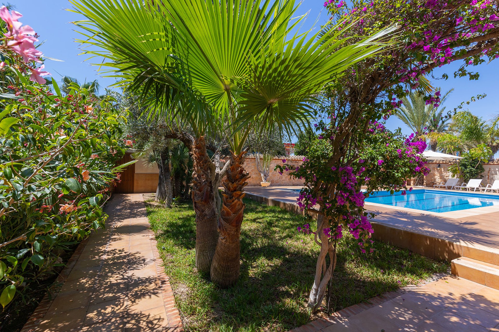 Venta - Chalet - Orihuela Costa - Punta Prima