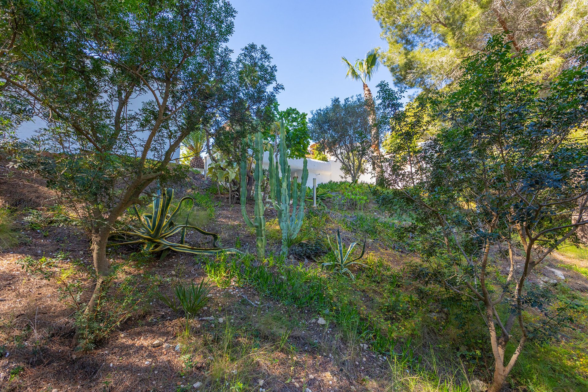 Venta - Chalet - Orihuela - Orihuela Costa