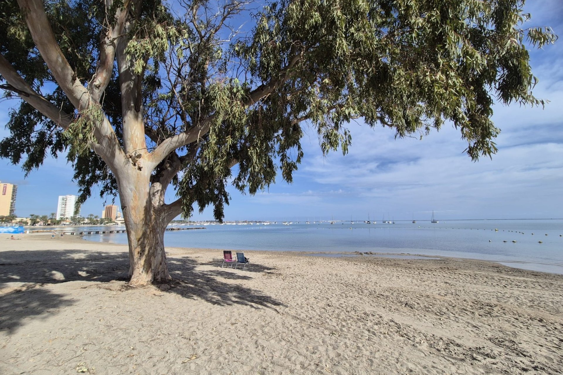 Venta - Chalet - Santiago de La Ribera - Santiago de La Ribera - Town