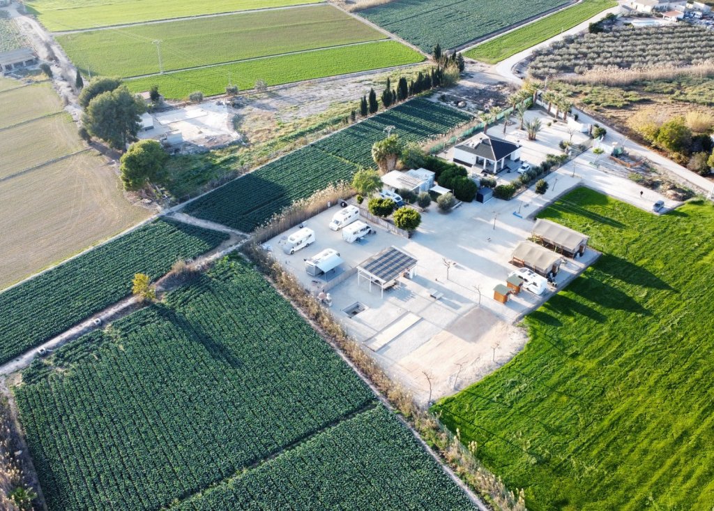 Venta - Commercial (Freehold) - Dolores - Dolores - Country