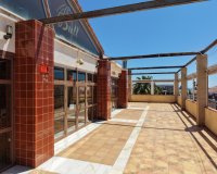 Venta - Commercial (Freehold) - Orihuela Costa - Los Dolses