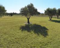 Venta - Country Property - Catral