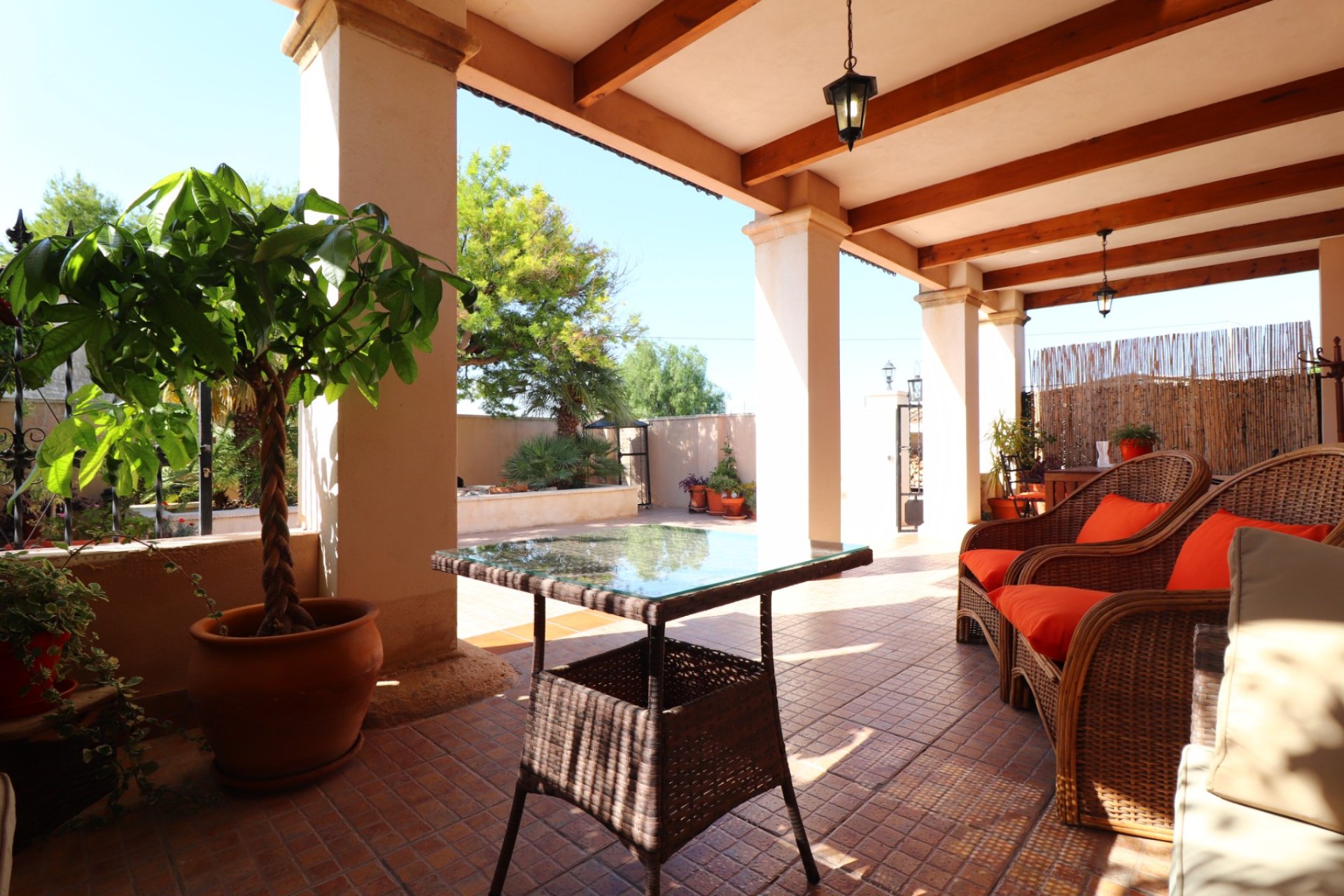 Venta - Finca / Country Property - Albatera - Albatera - Country