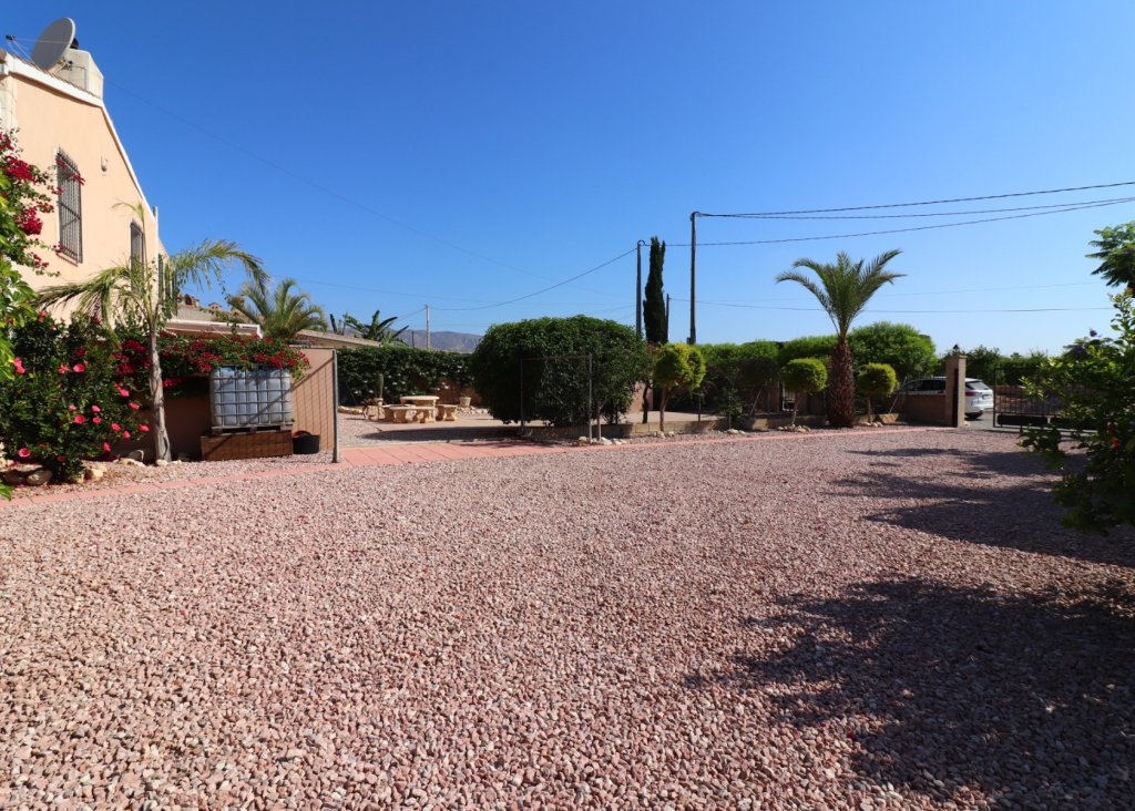 Venta - Finca / Country Property - Albatera - Albatera - Country